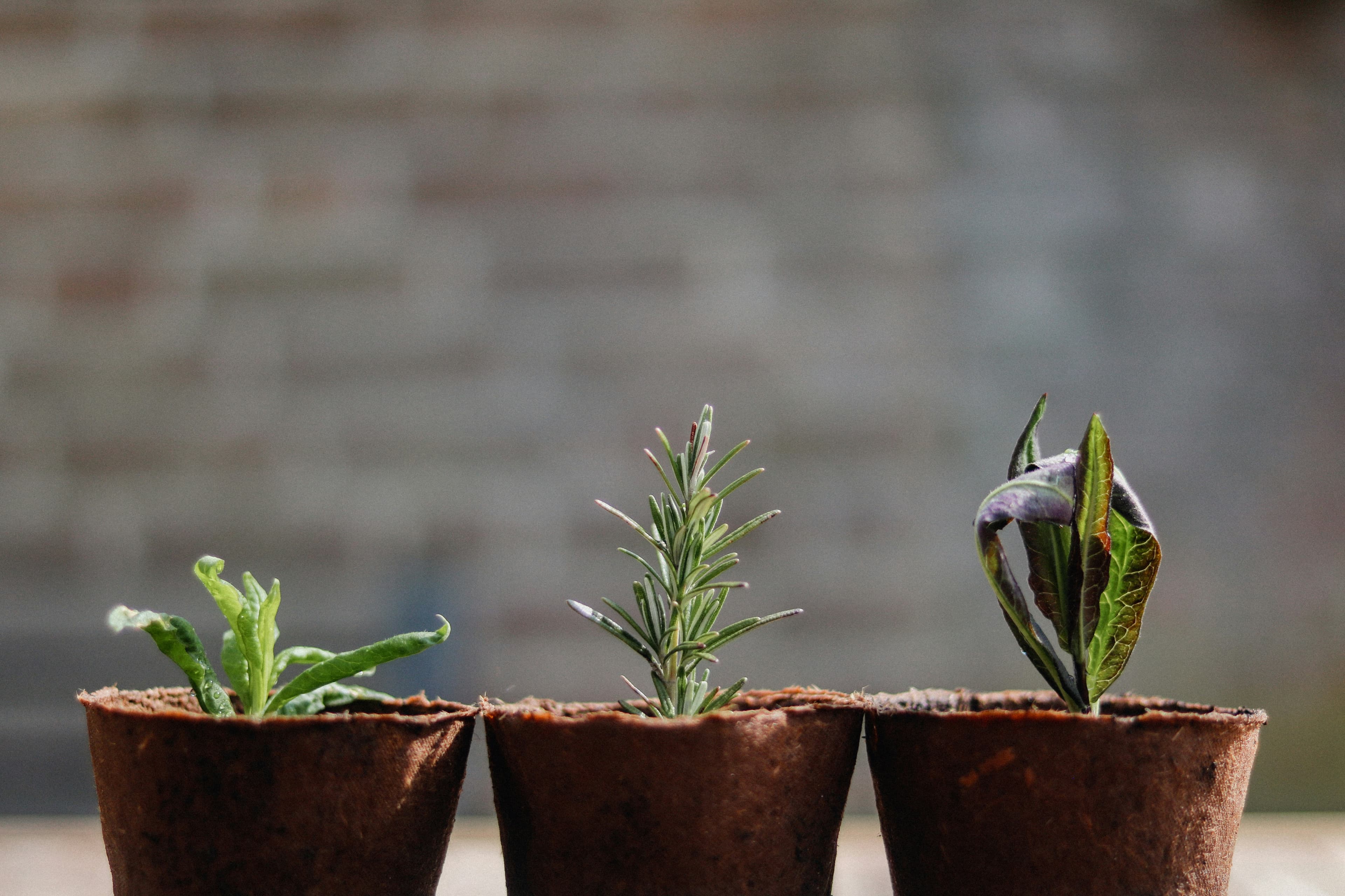 Accelerate your growth